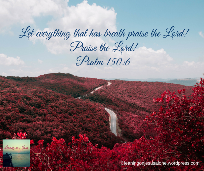 Let everything that has breath praise the Lord!Praise the Lord!